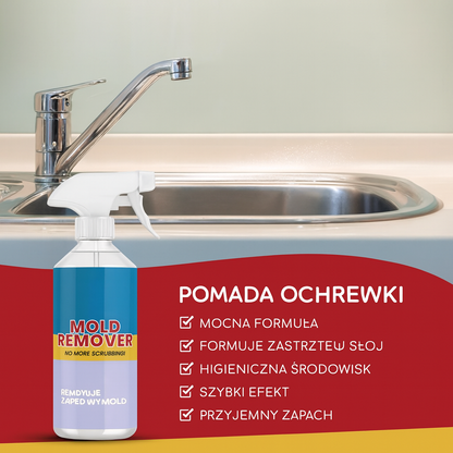 Mold Remover – Spray do Usuwania Wilgoci i Pleśni z Przyjemnym Zapachem